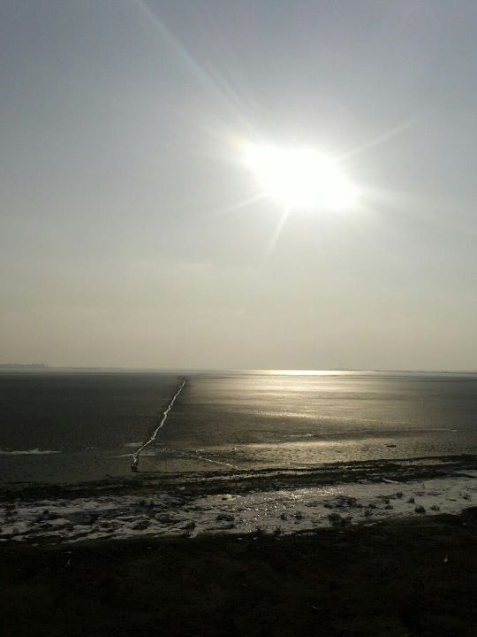 하나님의 창조하신 세계(하영태).jpg