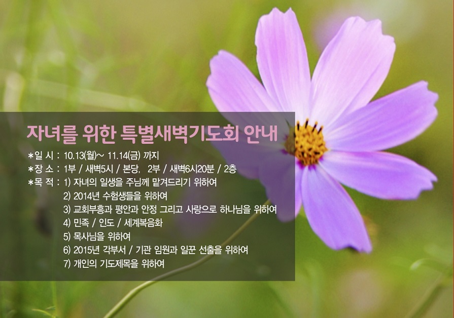 10-19_혜린교회_옵셋주보_8도_4면_김현경1 (1).jpg