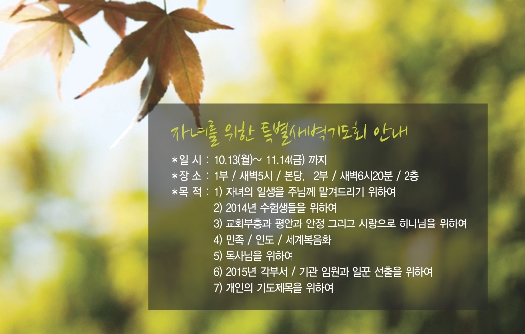 10-19_혜린교회_옵셋주보_8도_4면_김현경2.jpg